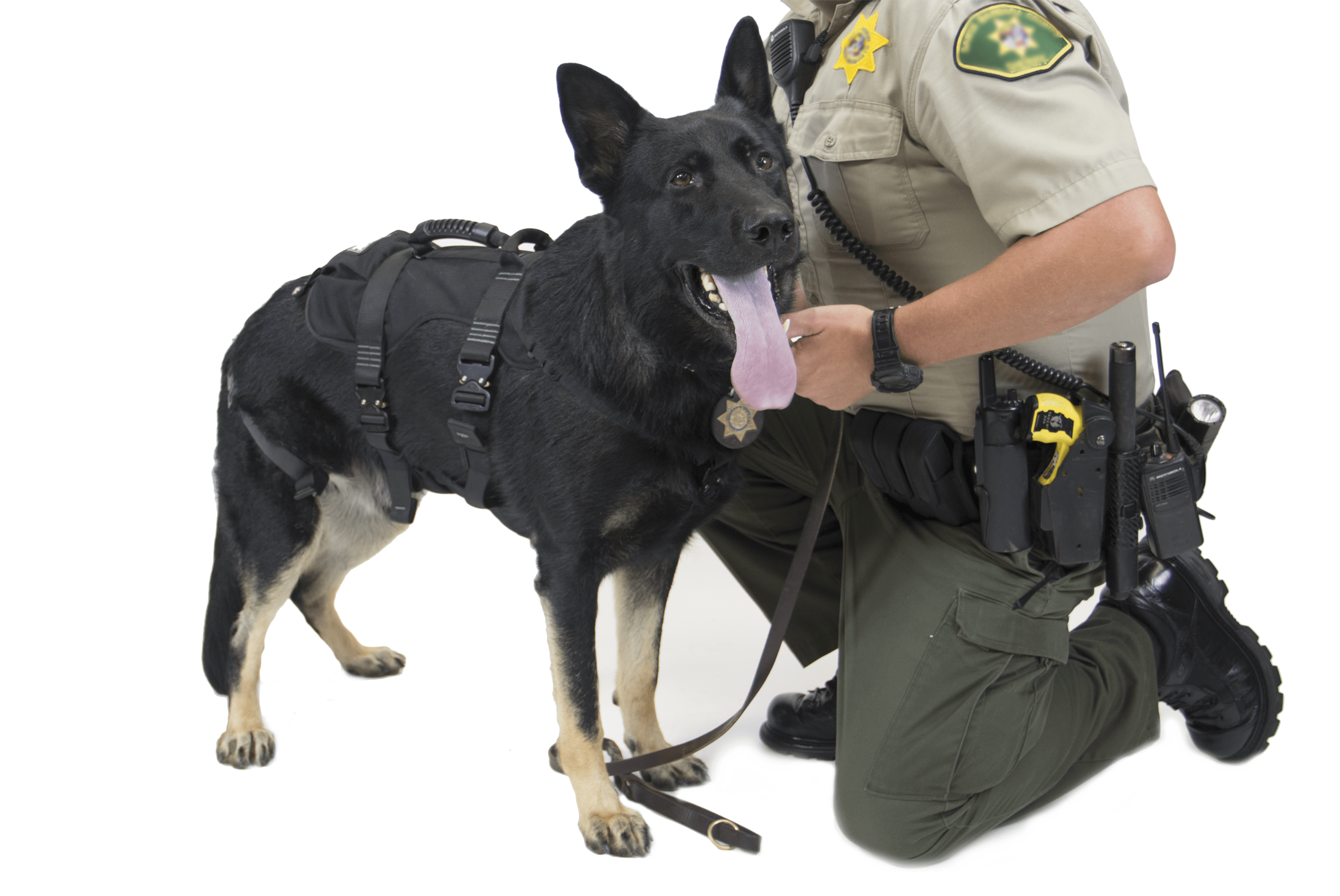 CMC Harnesses & Belts Fire_Safety_USA CMC K9 Proseries Rappel Harness