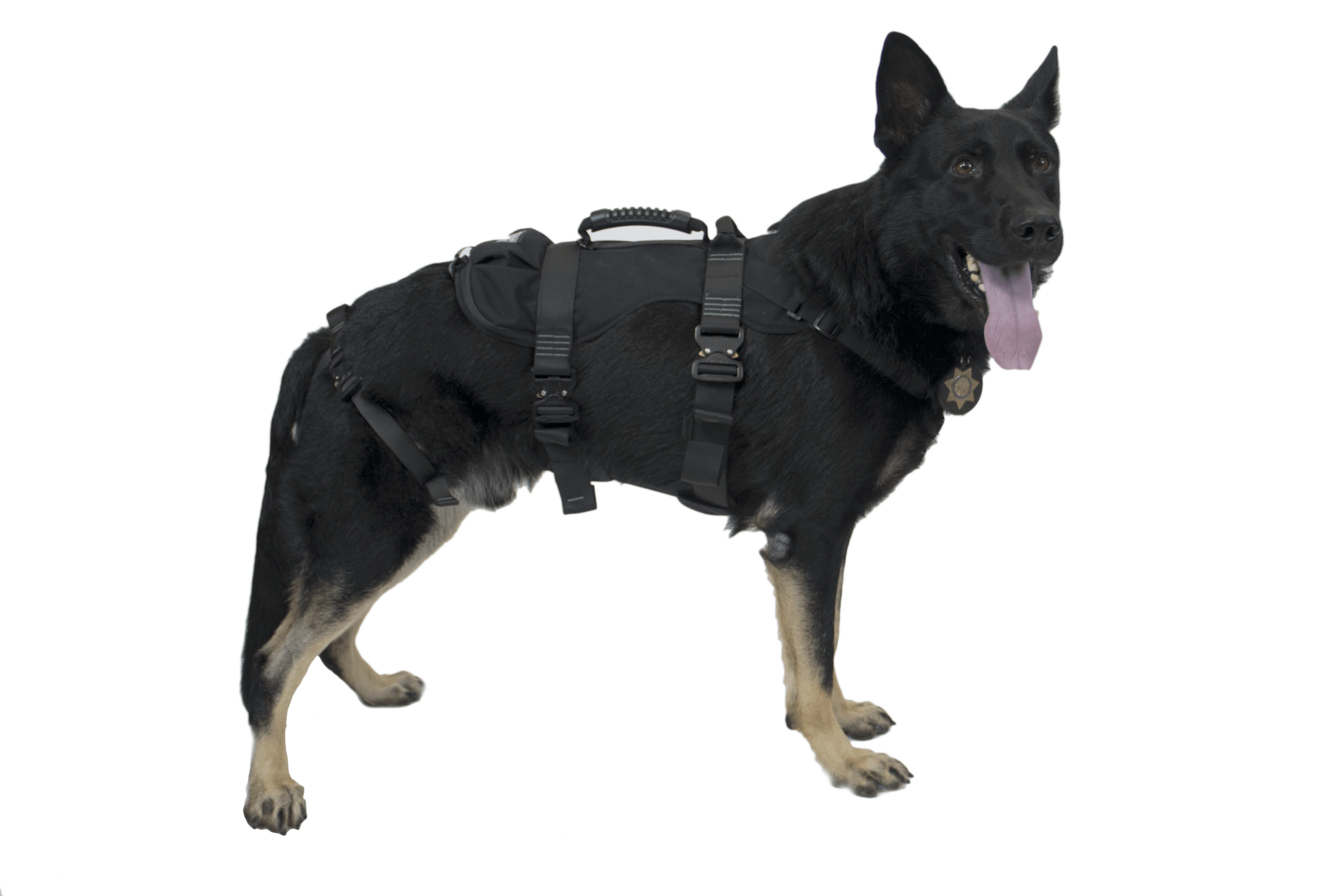 CMC Harnesses & Belts Fire_Safety_USA CMC K9 Proseries Rappel Harness