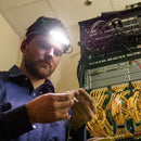 FoxFury Headlamps Fire_Safety_USA Command White LED Helmet Light - LoPro