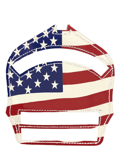 American Flag 6